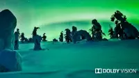 Tìm hi&ecirc;̉u v&ecirc;̀ c&ocirc;ng ngh&ecirc;̣ hình ảnh Dolby Vision