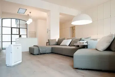 Vì sao máy lọc không khí được ưa chuộng nhất hiện nay?