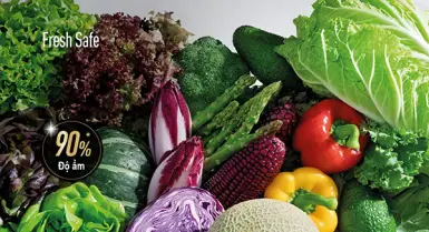 Khám phá ngăn rau quả Fresh Safe trên tủ lạnh Panasonic