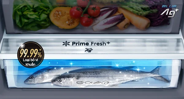 Gợi ý 2 tủ lạnh có ngăn đông mềm diệt khuẩn PrimeFresh+ và Blue Ag+