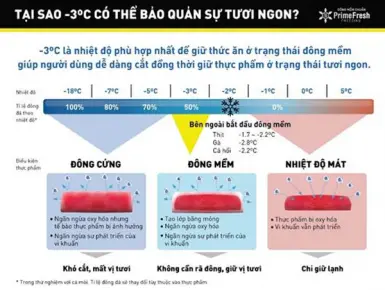 Chuyên gia dinh dưỡng chỉ cách bảo quản thực phẩm