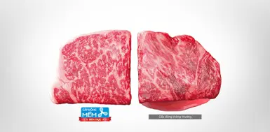 Công nghệ cấp đông mềm từ tủ lạnh Mitsubishi bạn đã biết chưa?