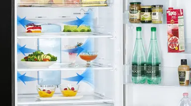 Hệ thống khử mùi và diệt khuẩn trên tủ lạnh Mitsubishi