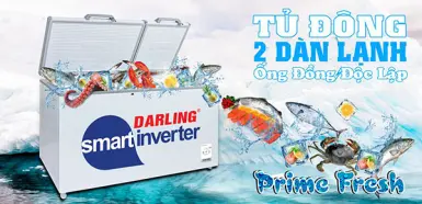 Tủ đông Darling đến từ nước nào? Có tốt hay không?