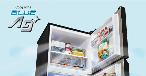 Lần đầu tiên ra mắt tủ lạnh diệt khuẩn 99,99% Khẳng định chất lượng Nhật Bản – Tủ lạnh TV261BPAV