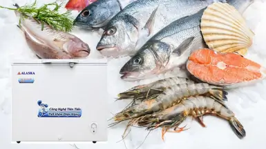 Tủ đông bị kêu to bất thường và cách khắc phục