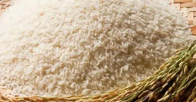 Cách chữa cơm sống cực kỳ hiệu quả