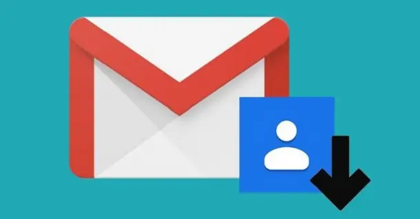 Cách lấy danh bạ từ Gmail trên điện thoại iPhone hoặc Android