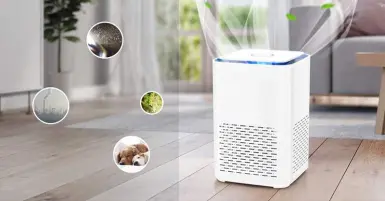 Máy lọc không khí và hút ẩm có tốt không? Nên mua loại nào?