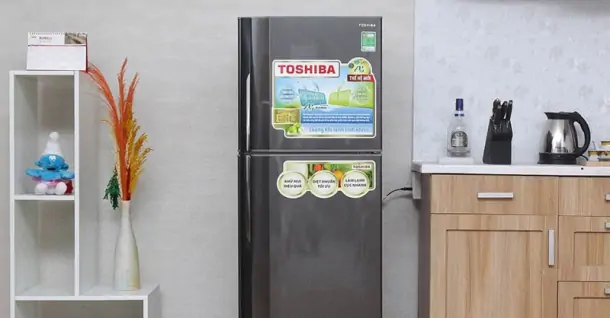 Hướng dẫn cách sử dụng tủ lạnh Toshiba tiết kiệm điện