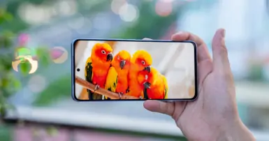 Điểm danh TOP điện thoại giá từ 7 đến 13 triệu bán chạy tại Điện Máy Chợ Lớn