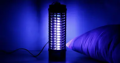 Cấu tạo và nguyên lý hoạt động đèn bắt muỗi. Có nên mua hay không?