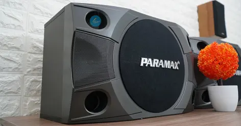 Loa Paramax của nước nào? Nên mua loa Paramax không?