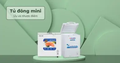 Tủ đông mini là gì? Ưu và nhược điểm của dòng tủ đông mini