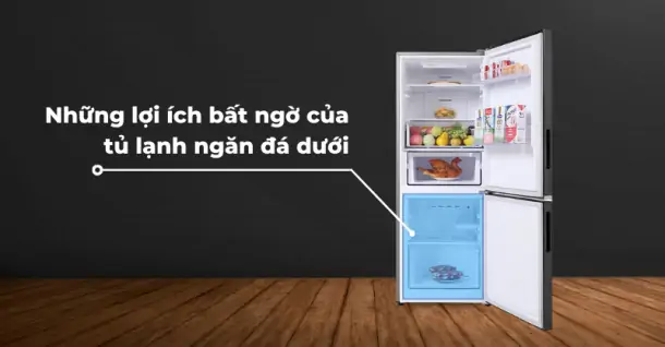 Bật mí những lợi ích bất ngờ của tủ lạnh ngăn đá dưới