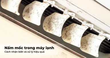 Nấm mốc trong máy lạnh - Dấu hiệu nhận biết và cách xử lý hiệu quả