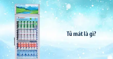 Tủ mát là gì? Phân biệt giữa tủ mát và tủ lạnh