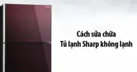 Tủ lạnh Sharp không lạnh? Hướng dẫn cách sửa chữa và khắc phục vấn đề