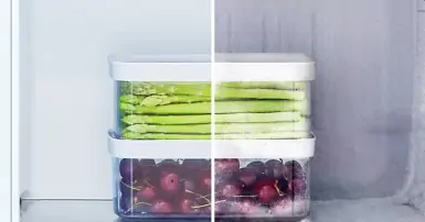 Công nghệ không đóng tuyết trên tủ lạnh: Công nghệ hiện đại cho cuộc sống tiện lợi hơn