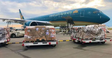 Có được mang hay có ký gửi tivi bằng máy bay được không?