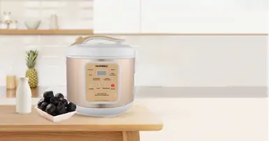 Kinh nghiệm chọn mua máy làm tỏi đen hữu ích nên tham khảo!