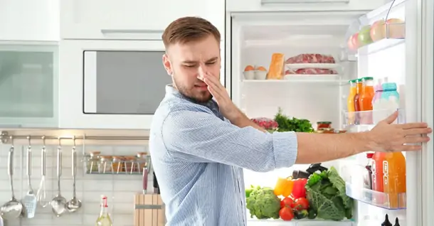 Bộ phận gây ra mùi khó chịu của tủ lạnh mà ít người chú ý
