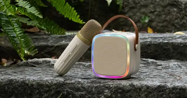 TOP 5 loa karaoke xách tay dưới 3 triệu tại Điện Máy Chợ Lớn