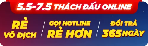 Quạt Đứng HAWONKOO FAH-011