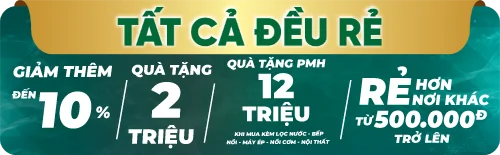 Máy Lạnh Toshiba Inverter 1 Hp RAS-H10S5KCV2G-V