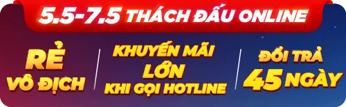 Nồi Chiên Không Dầu Bear QZG-F15G1 6.0 Lít