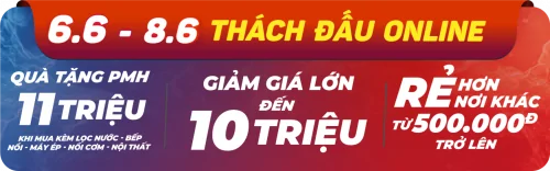 Loa Di Động Xách Tay Paramax PASION 2c (Màu Đen)