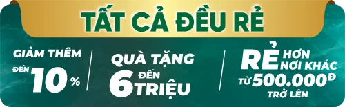 Google Tivi TCL 4K 55 inch 55P638