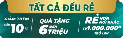 Google Tivi TCL QLED 4K 55 Inch 55P7K