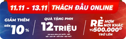 Bộ Micro Không Dây Platinum U20