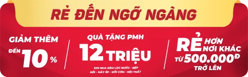 Bộ Micro Không Dây Platinum U20