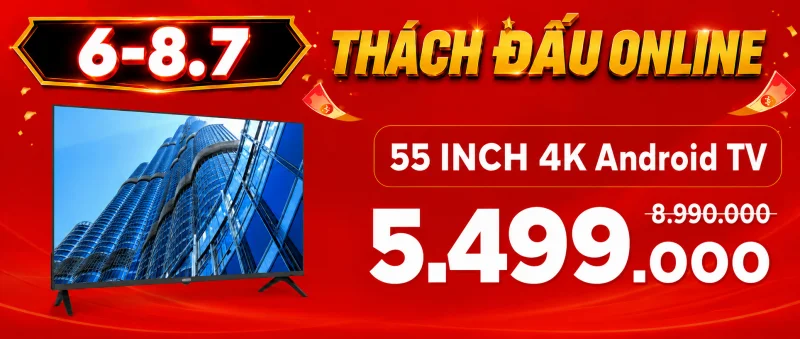 TV 55 inch