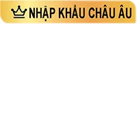 11--nhập khẩu châu âu 