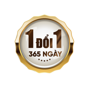 13-icon-1doi1 