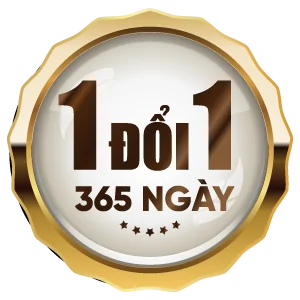 13-Icon -TOSHIBA-14.05.26 HETHAN 