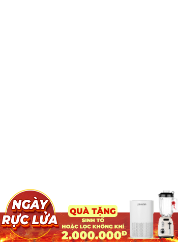 11--sinh tố/lọc khí 166806/500001205 