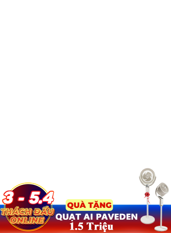 21-khungqua-quatAI168529 