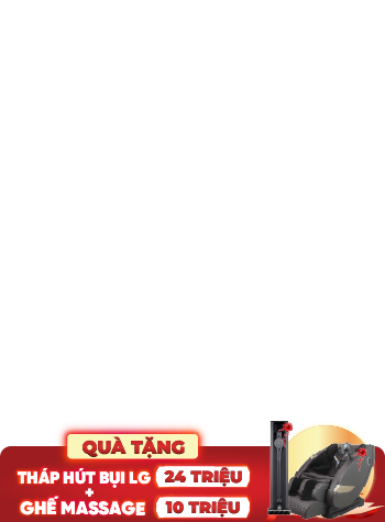 11--massa 500001351 + th&aacute;p h&uacute;t bụi lg 