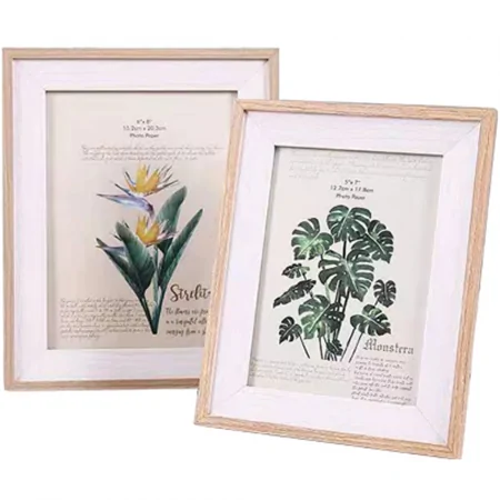 Khung Hình ECOPF113 19.5 Cm