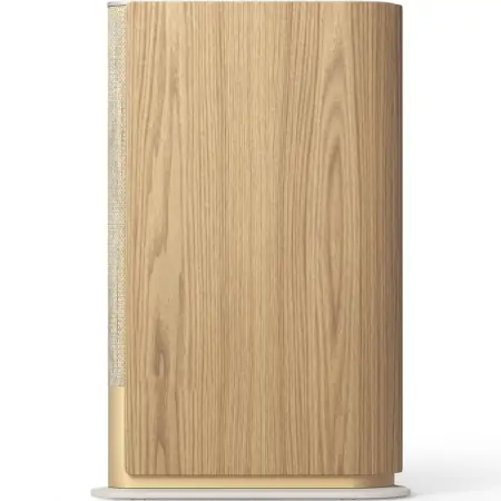 Loa Bluetooth Beosound Emerge Gold