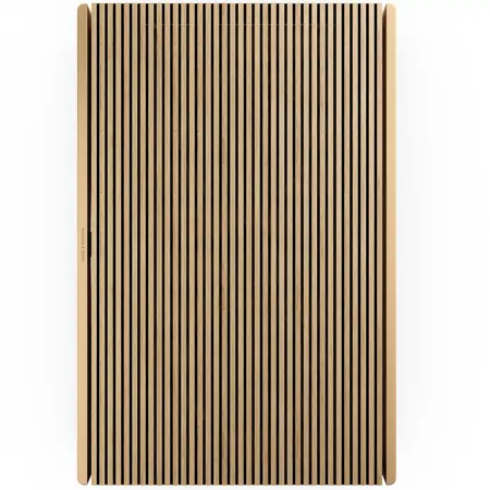 Loa Bluetooth Beosound Level Gold