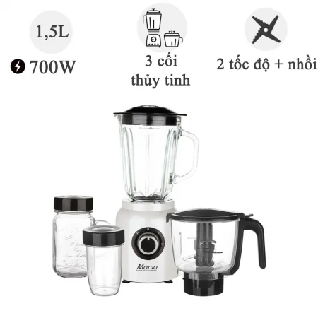 Máy xay đa năng MAMA SHD5353W 700W