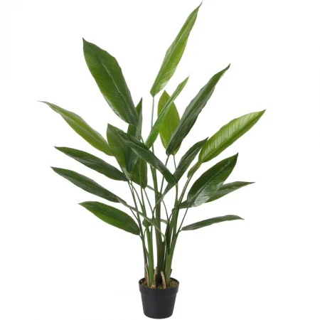 Chậu Cây Hoa Chuối A279KG