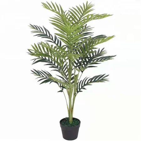 Chậu Cây Cau Vàng JWS2833