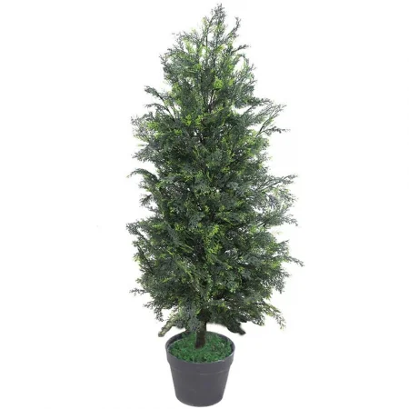 Chậu Cây Bách JWT2953