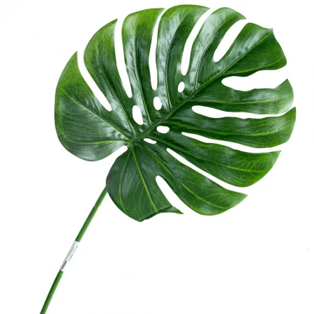 Nh&aacute;nh L&aacute; Trầu B&agrave; A232SF